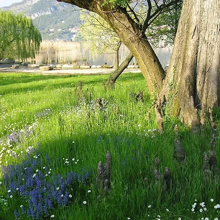 Relais Di Adinolfi *