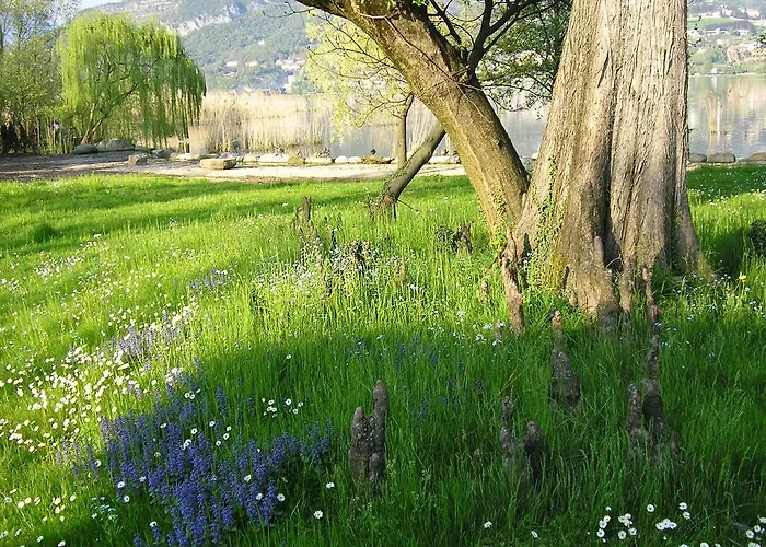 Relais Di Adinolfi *